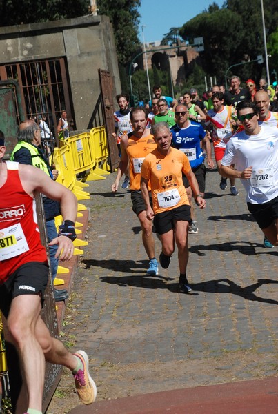 Appia Run [GOLD] (21/04/2024) 0091