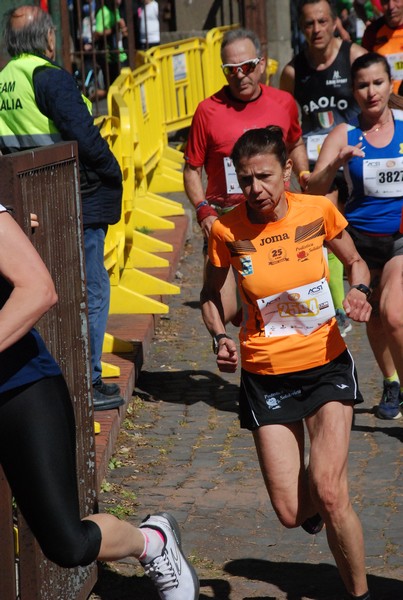 Appia Run [GOLD] (21/04/2024) 0141
