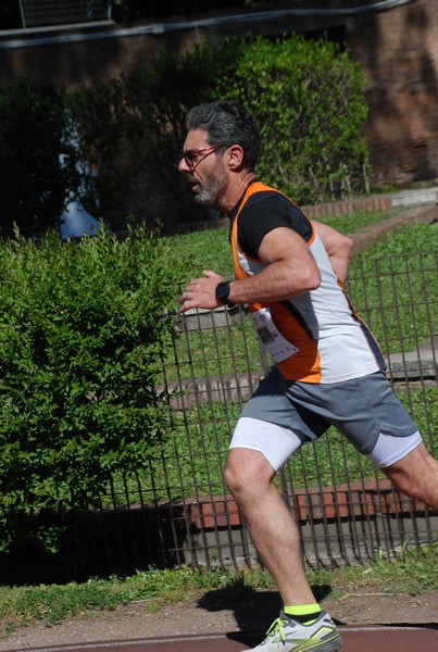 Appia Run [GOLD] (21/04/2024) 0145