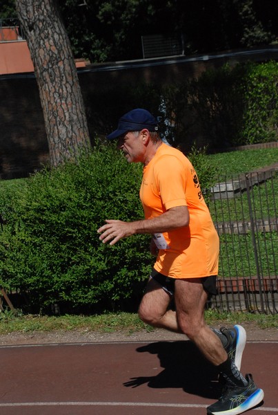 Appia Run [GOLD] (21/04/2024) 0181