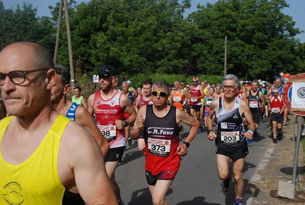 Maratonina della Lumaca [CE] (30/06/2024) 0020