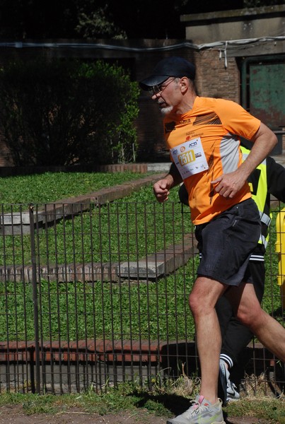 Appia Run [GOLD] (21/04/2024) 0182