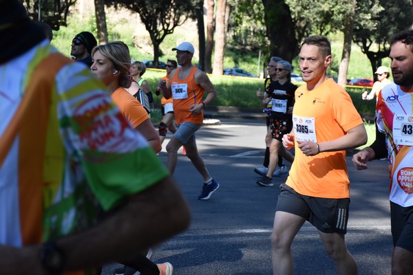 Appia Run [GOLD] (21/04/2024) 0223