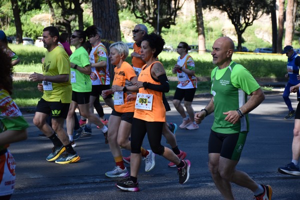 Appia Run [GOLD] (21/04/2024) 0244