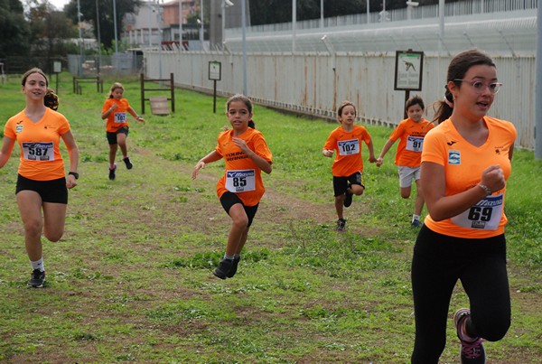 Trofeo Arancini Podistica Solidarietà (28/09/2024) 0051