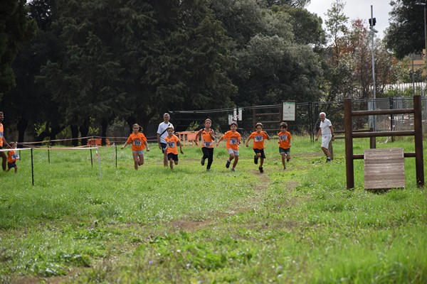 Trofeo Arancini Podistica Solidarietà (28/09/2024) 0050