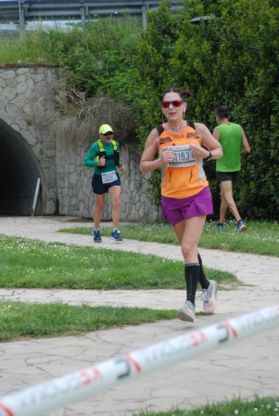 Crete Senesi Ultra Marathon 50K (05/05/2024) 0022