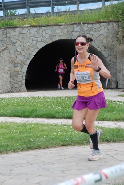 Crete Senesi Ultra Marathon 50K (05/05/2024) 0023