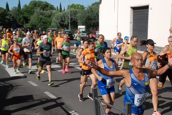 Maratonina di Villa Adriana (26/05/2024) 0028