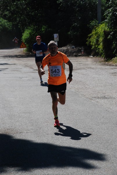 Maratonina di Villa Adriana (26/05/2024) 0049