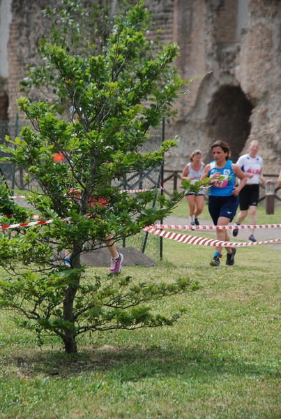 Euro Cross - Campionato Interbancario Europeo (25/05/2024) 0201