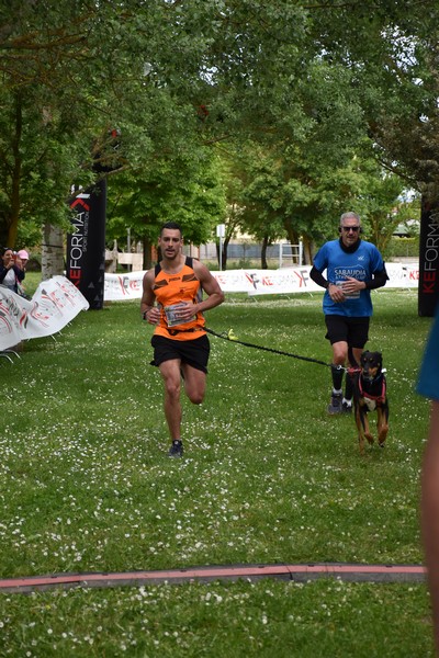 Crete Senesi Ultra Marathon 50K (05/05/2024) 0073