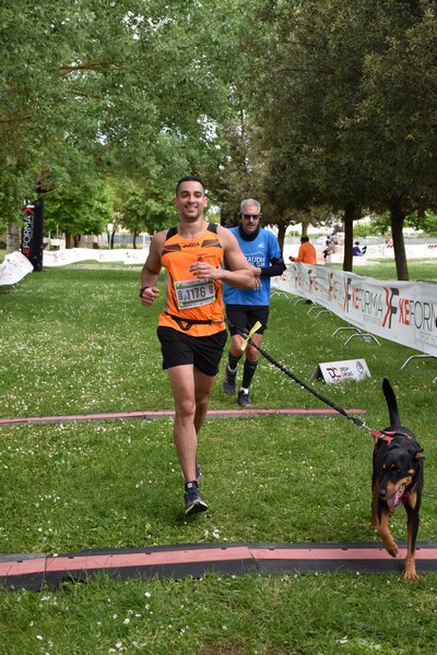 Crete Senesi Ultra Marathon 50K (05/05/2024) 0080
