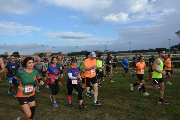 Cardio Race [TOP] (05/10/2025) 0029