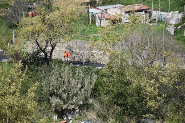 La Gregoriana (06/04/2025) 0118