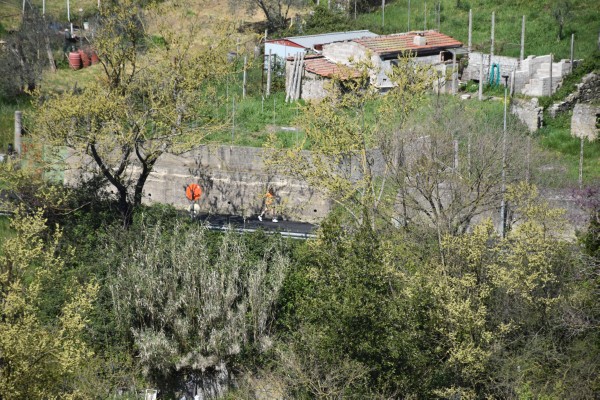 La Gregoriana (06/04/2025) 0120