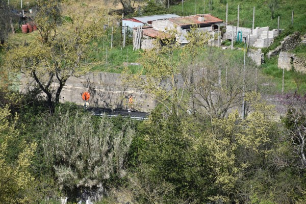 La Gregoriana (06/04/2025) 0121