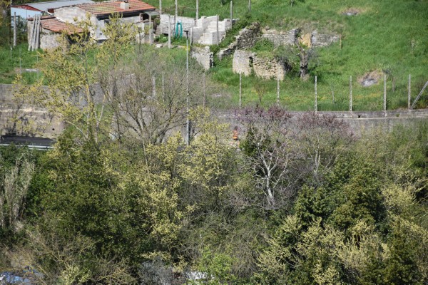 La Gregoriana (06/04/2025) 0122