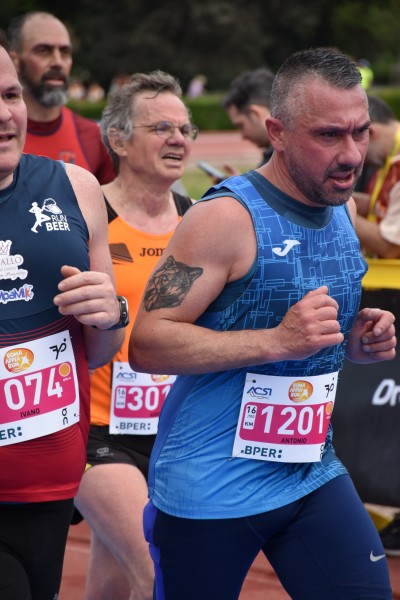 Appia Run[TOP] [GOLD] (13/04/2025) 0026