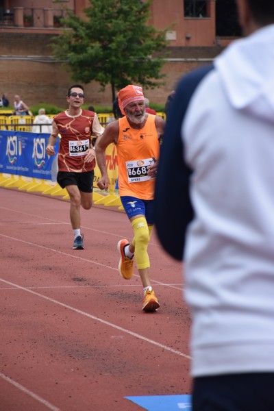 Appia Run [TOP] [GOLD] (13/04/2025) 0229