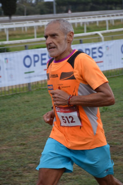 Cardio Race [TOP] (05/10/2025) 0044