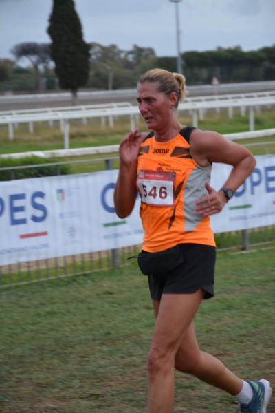 Cardio Race [TOP] (05/10/2025) 0112