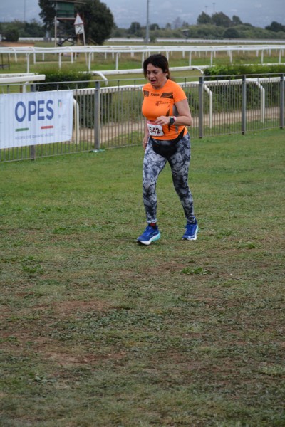 Cardio Race [TOP] (05/10/2025) 0119