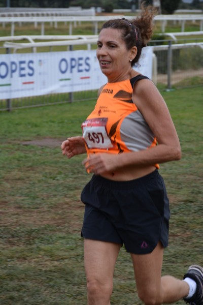 Cardio Race [TOP] (05/10/2025) 0130