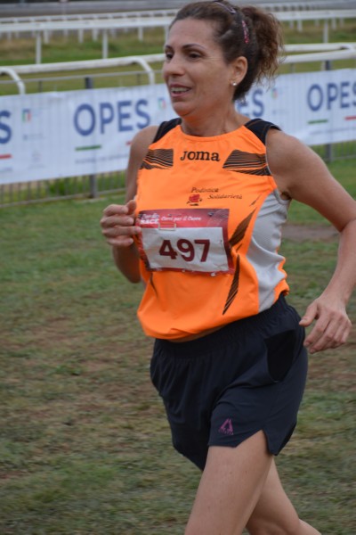 Cardio Race [TOP] (05/10/2025) 0131