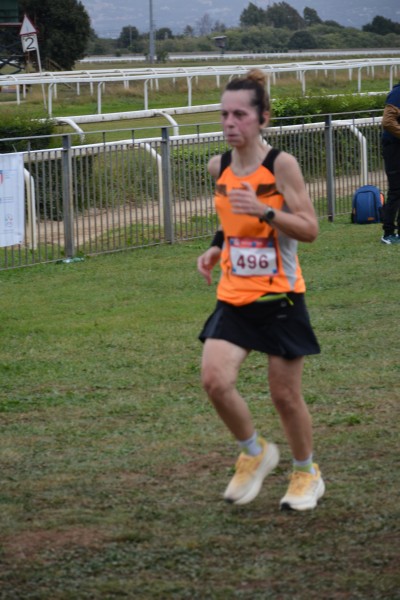 Cardio Race [TOP] (05/10/2025) 0147