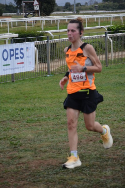 Cardio Race [TOP] (05/10/2025) 0148