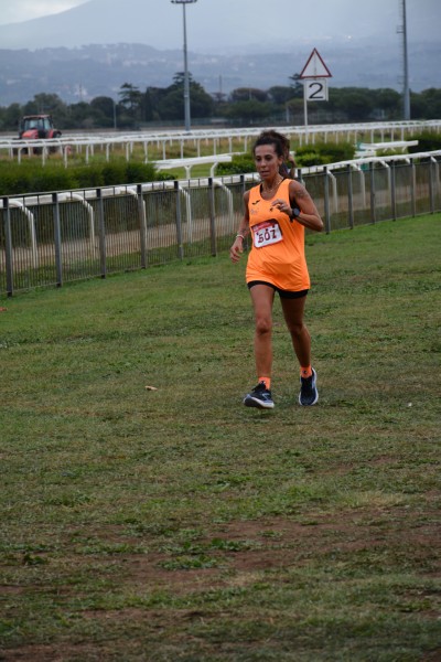 Cardio Race [TOP] (05/10/2025) 0156