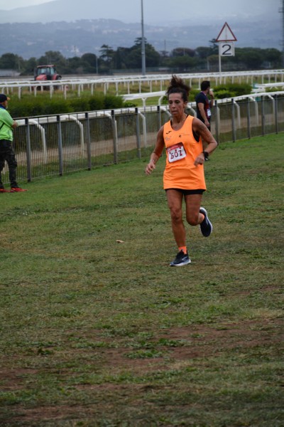 Cardio Race [TOP] (05/10/2025) 0157