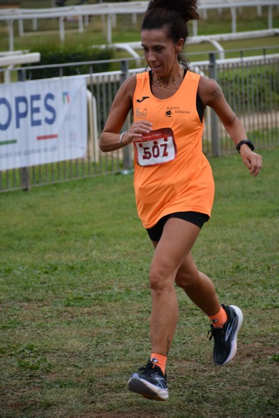 Cardio Race [TOP] (05/10/2025) 0158