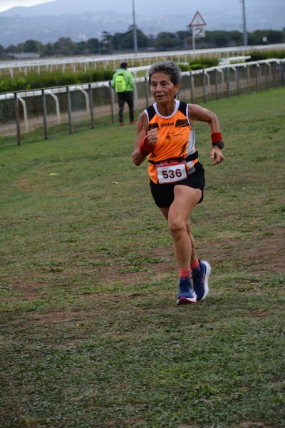 Cardio Race [TOP] (05/10/2025) 0171