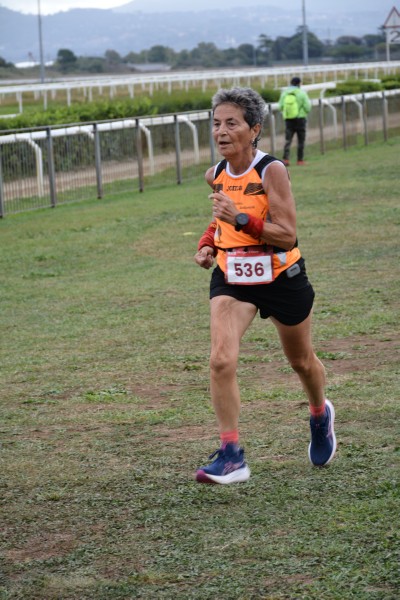 Cardio Race [TOP] (05/10/2025) 0173