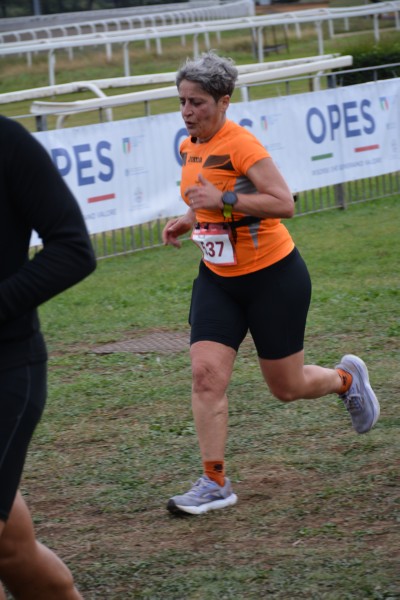 Cardio Race [TOP] (05/10/2025) 0190