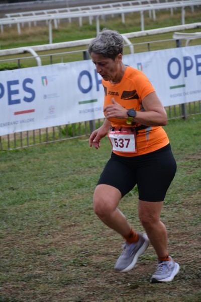 Cardio Race [TOP] (05/10/2025) 0192