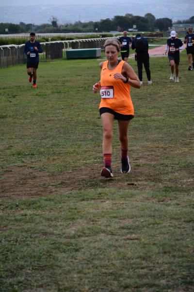 Cardio Race [TOP] (05/10/2025) 0206