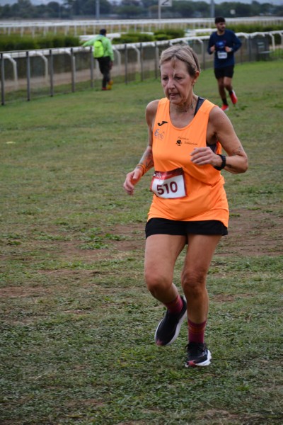 Cardio Race [TOP] (05/10/2025) 0208