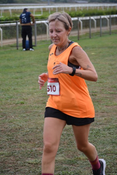Cardio Race [TOP] (05/10/2025) 0209