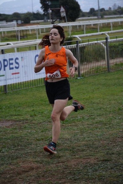 Cardio Race [TOP] (05/10/2025) 0217