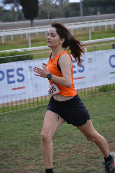 Cardio Race [TOP] (05/10/2025) 0218