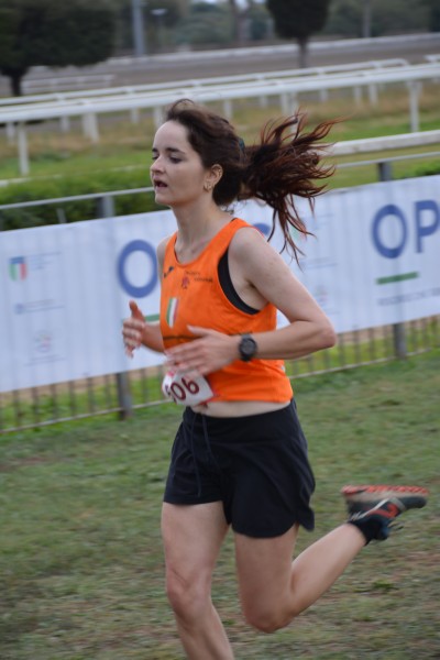 Cardio Race [TOP] (05/10/2025) 0219