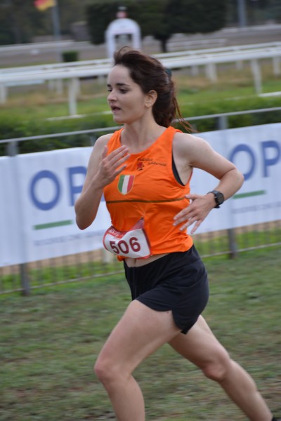 Cardio Race [TOP] (05/10/2025) 0220