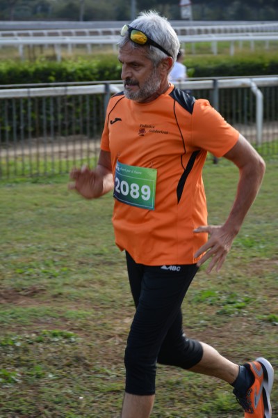 Cardio Race [TOP] (05/10/2025) 0008