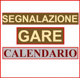 Modulo segnalazione gare