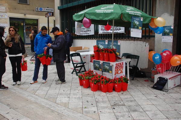 Distribuzione Gardenie nel punto solidarietą di Tivoli
