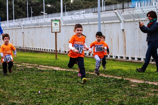 Piccoli Orange crescono...