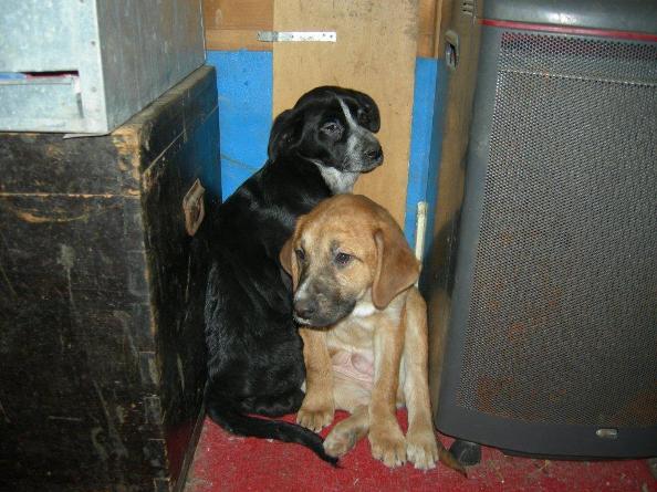 Giulietta e Romeo